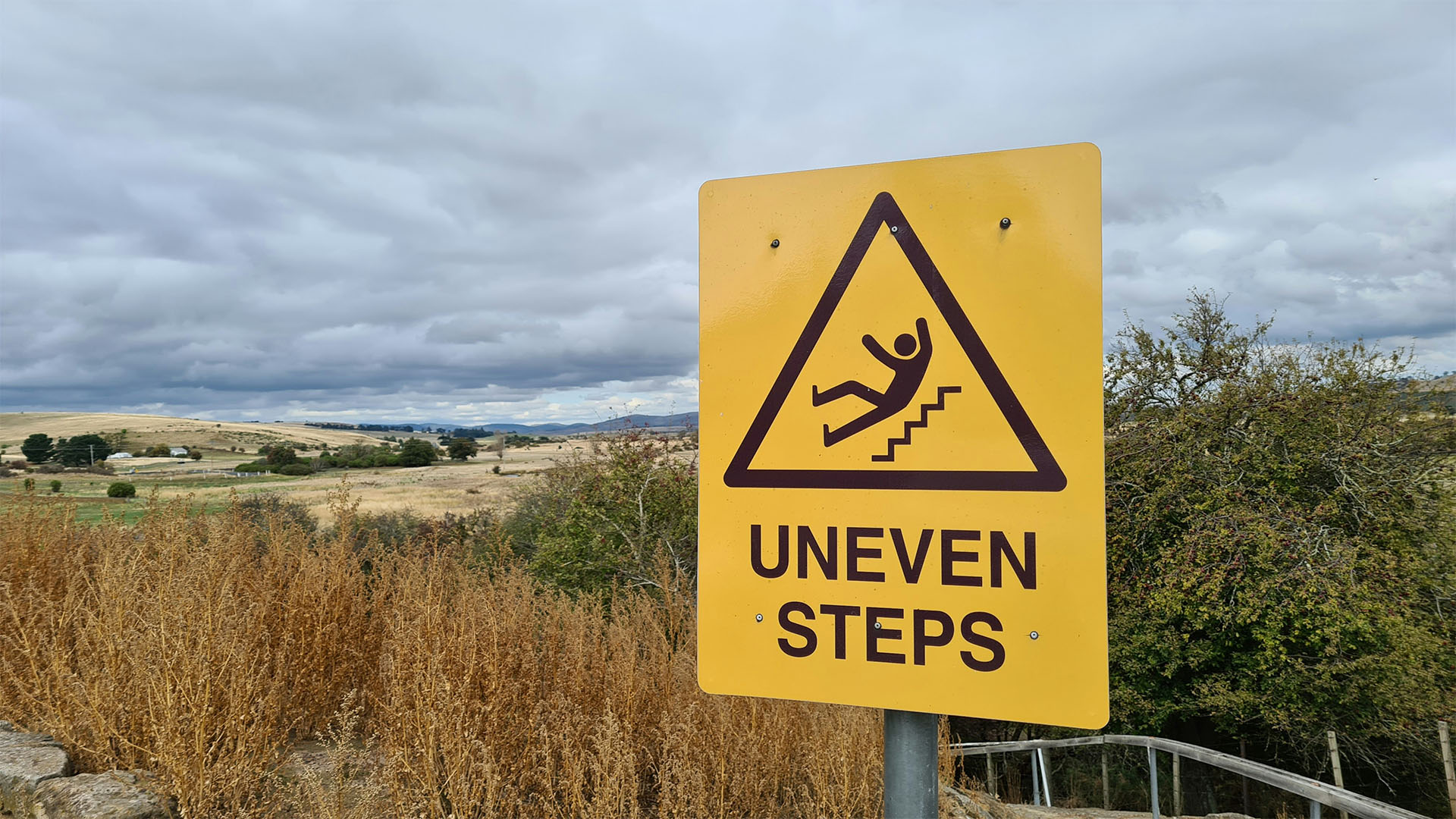 Slip and Fall Claims