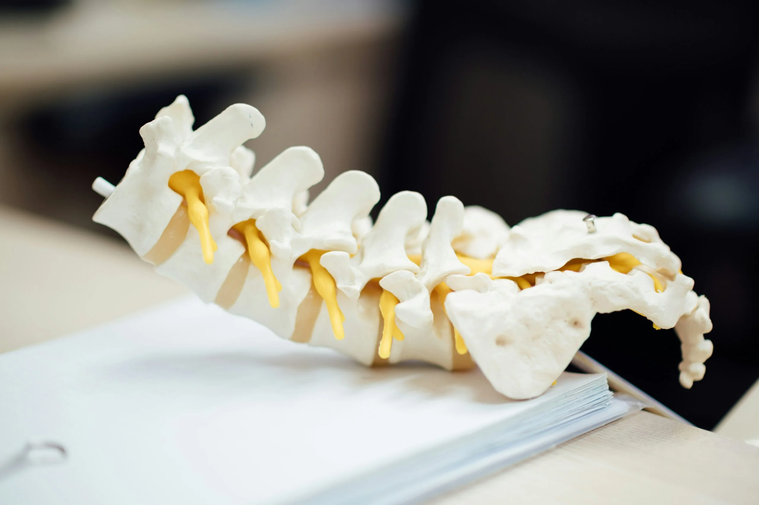 spinal cord injury compensation California
